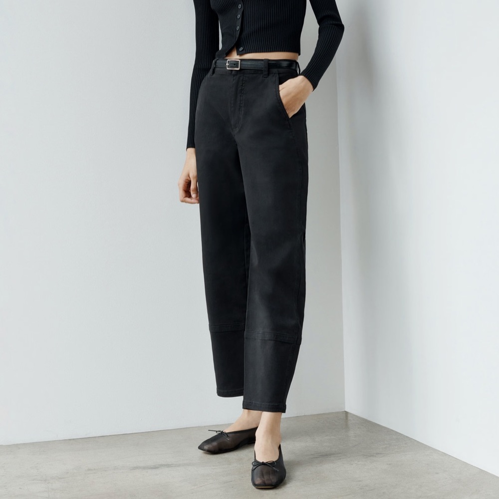 Everlane Utility Barrel Pant
